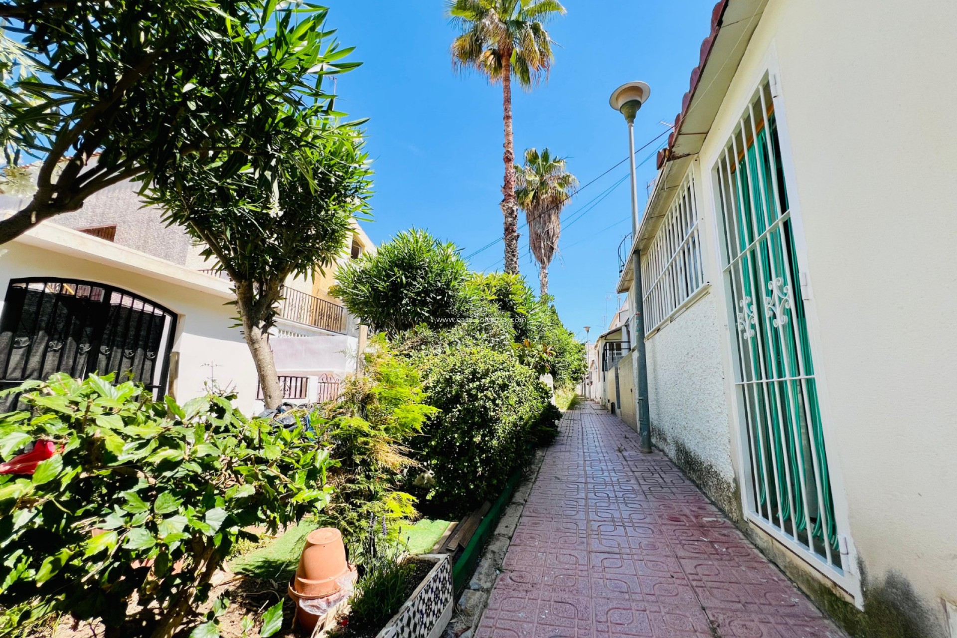 Reventa - Apartamento / piso - Torrevieja - 0