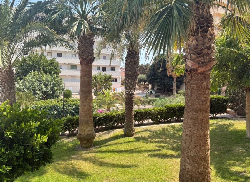 Reventa - Apartamento / piso - Torrevieja - 0
