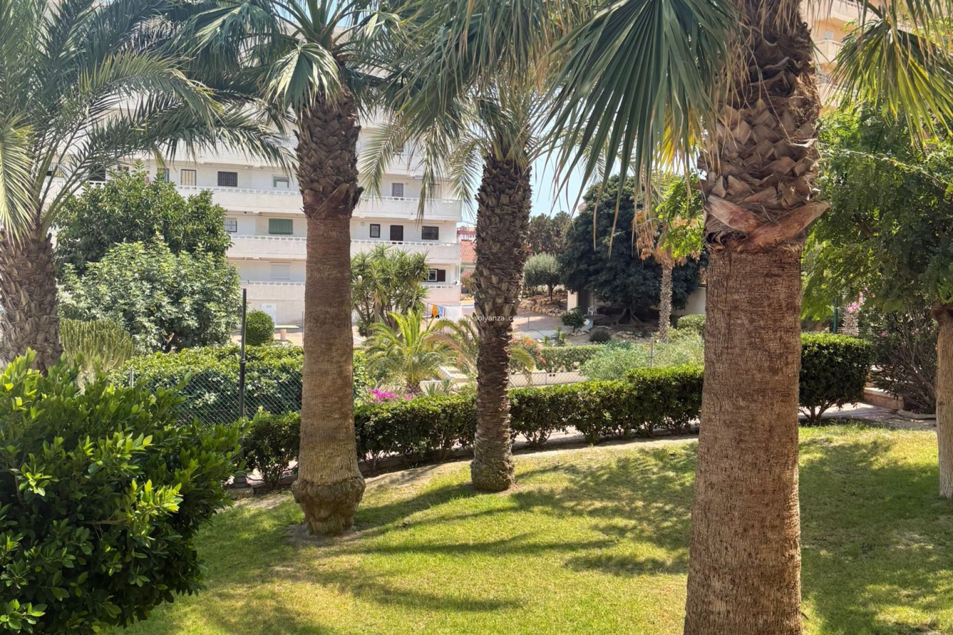 Reventa - Apartamento / piso - Torrevieja - 0