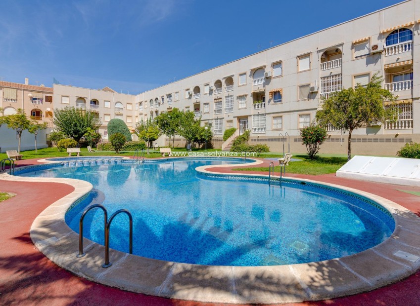 Reventa - Apartamento / piso - Torrevieja - Acequion