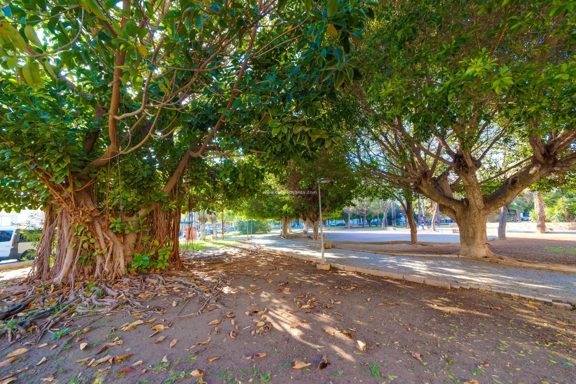 Reventa - Apartamento / piso - Torrevieja - Acequion