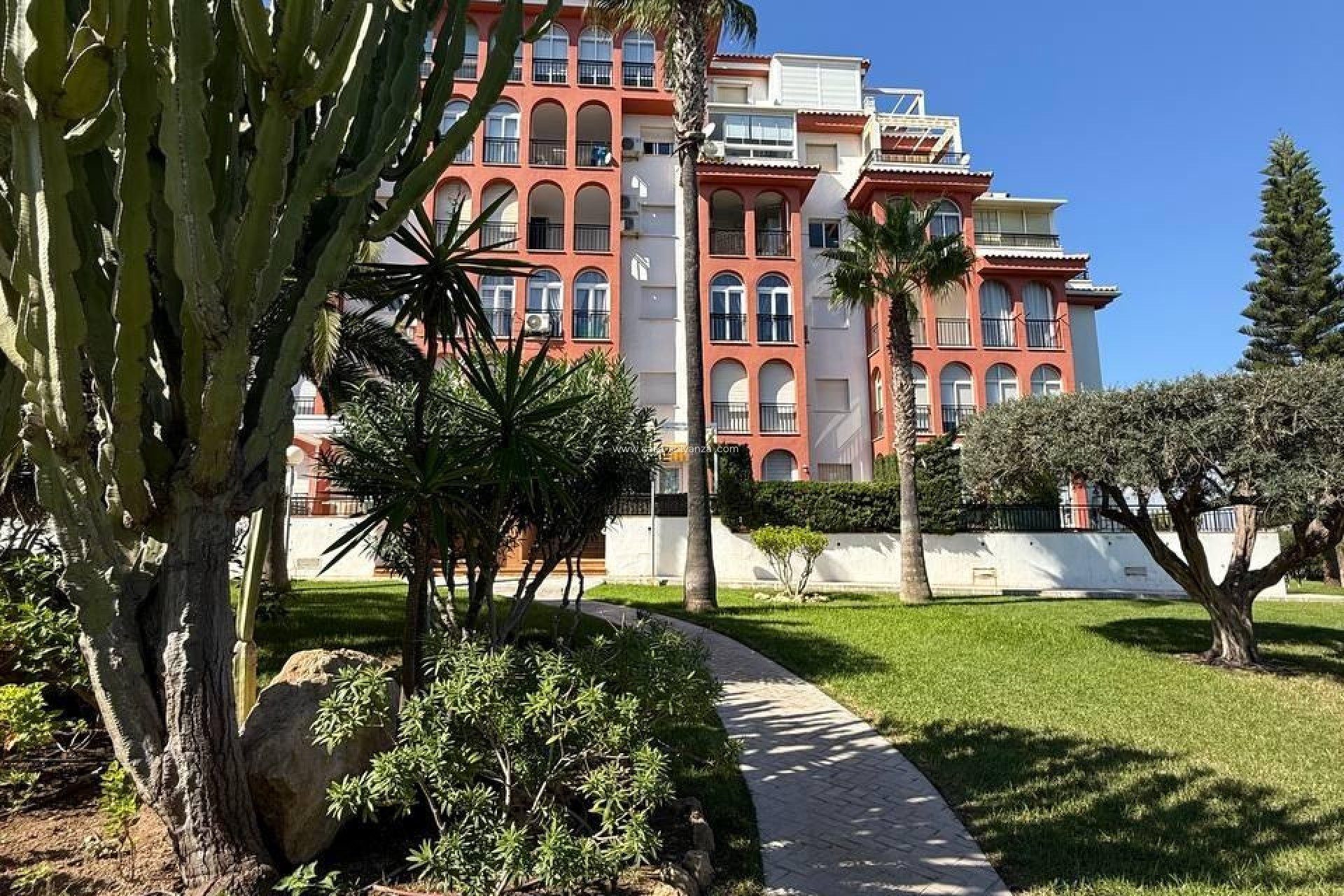 Reventa - Apartamento / piso - Torrevieja - Aguas nuevas