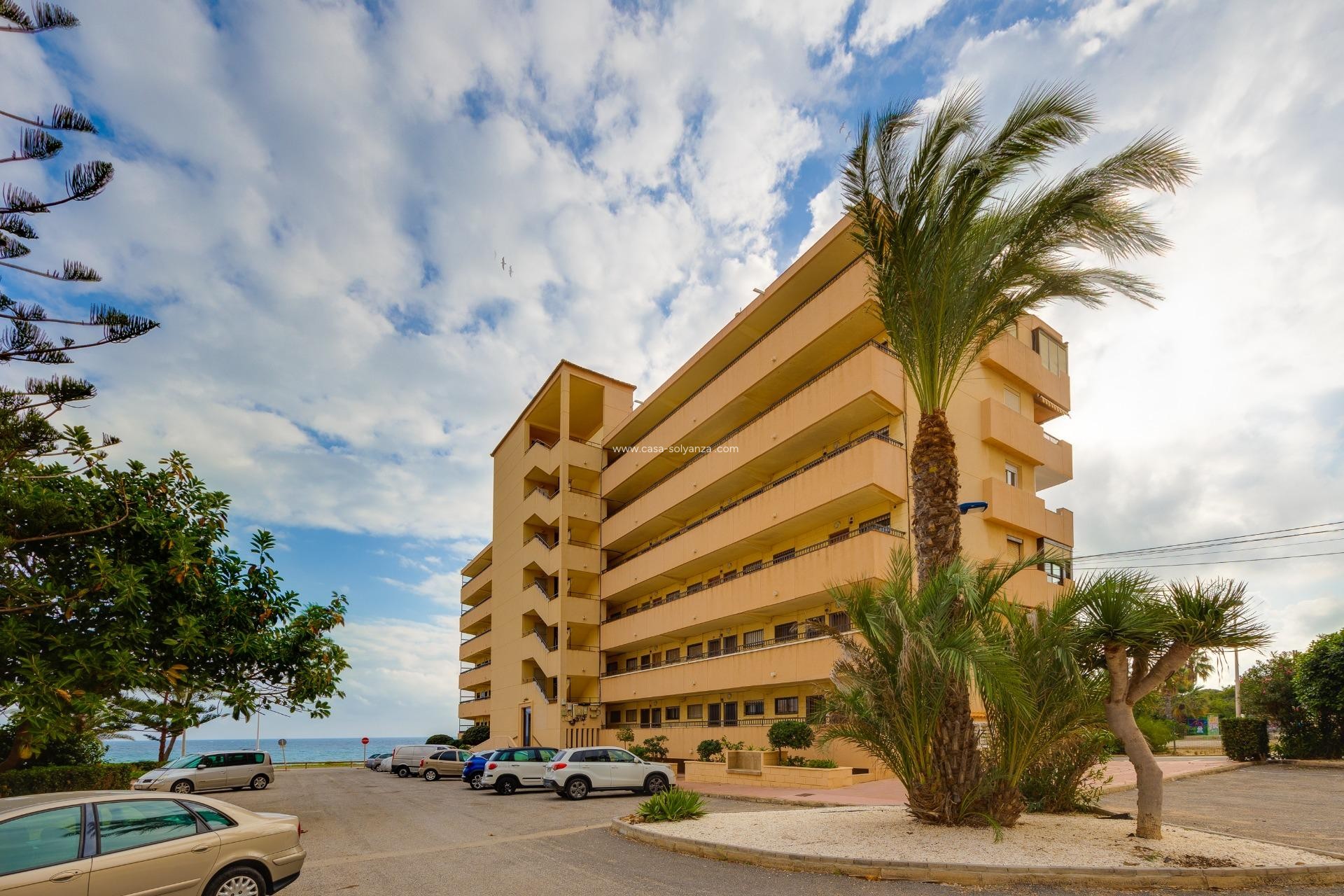 Reventa - Apartamento / piso - Torrevieja - Cabo cervera
