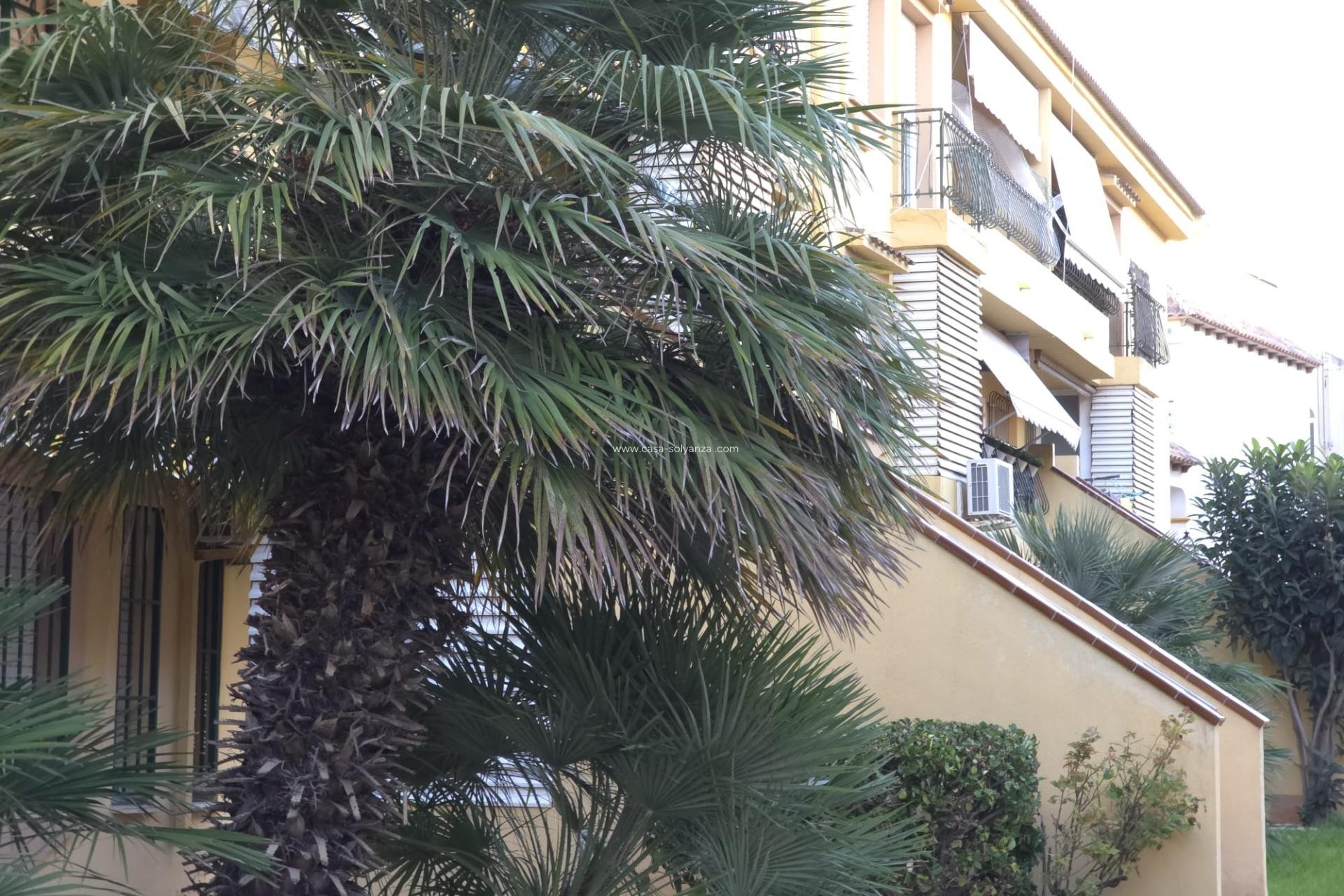 Reventa - Apartamento / piso - Torrevieja - Cala Ferris