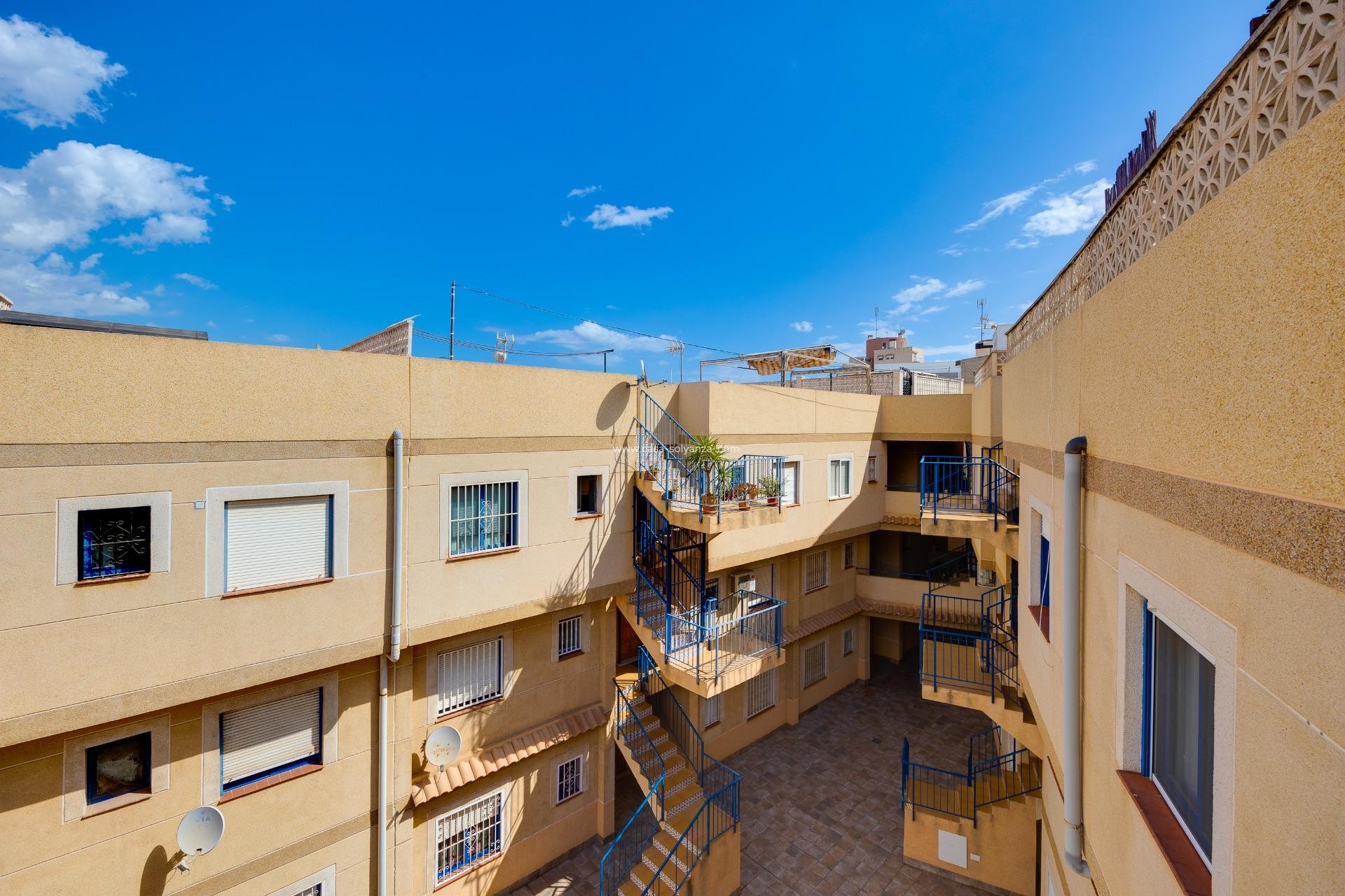 Reventa - Apartamento / piso - Torrevieja - Calas Blanca