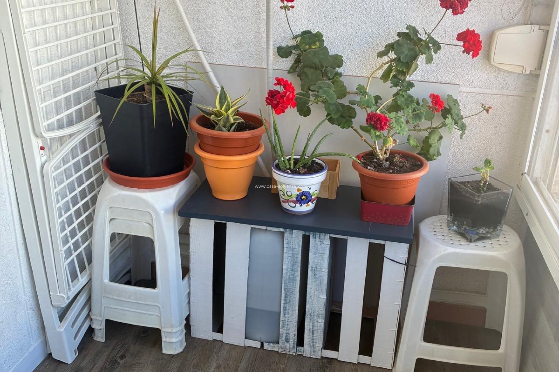 Reventa - Apartamento / piso - Torrevieja - Center