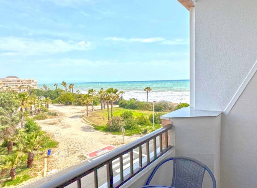 Reventa - Apartamento / piso - Torrevieja - Costa Blanca