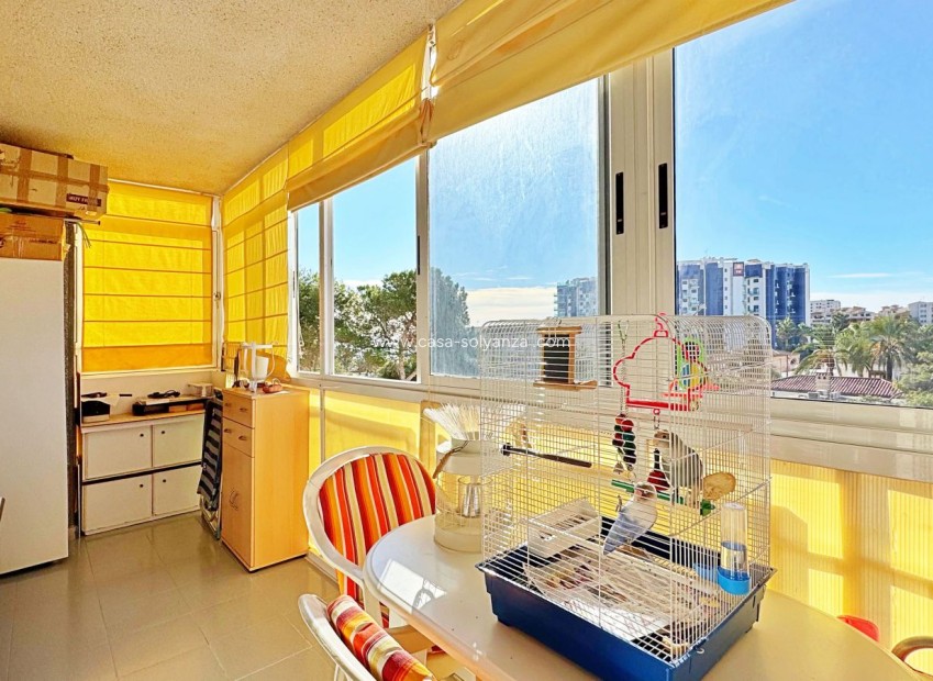 Reventa - Apartamento / piso - Torrevieja - Costa Blanca