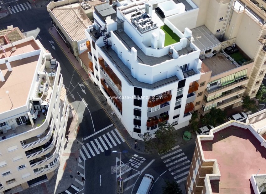 Reventa - Apartamento / piso - Torrevieja - Costa Blanca