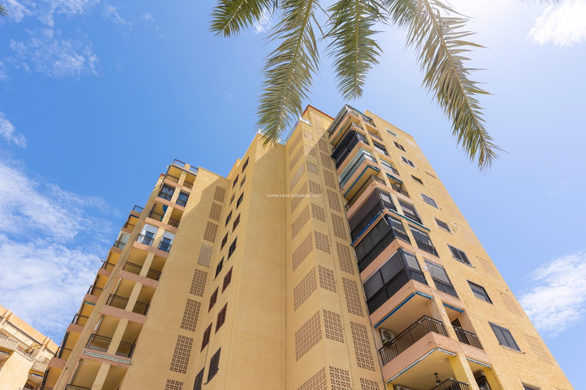 Reventa - Apartamento / piso - Torrevieja - Costa Blanca