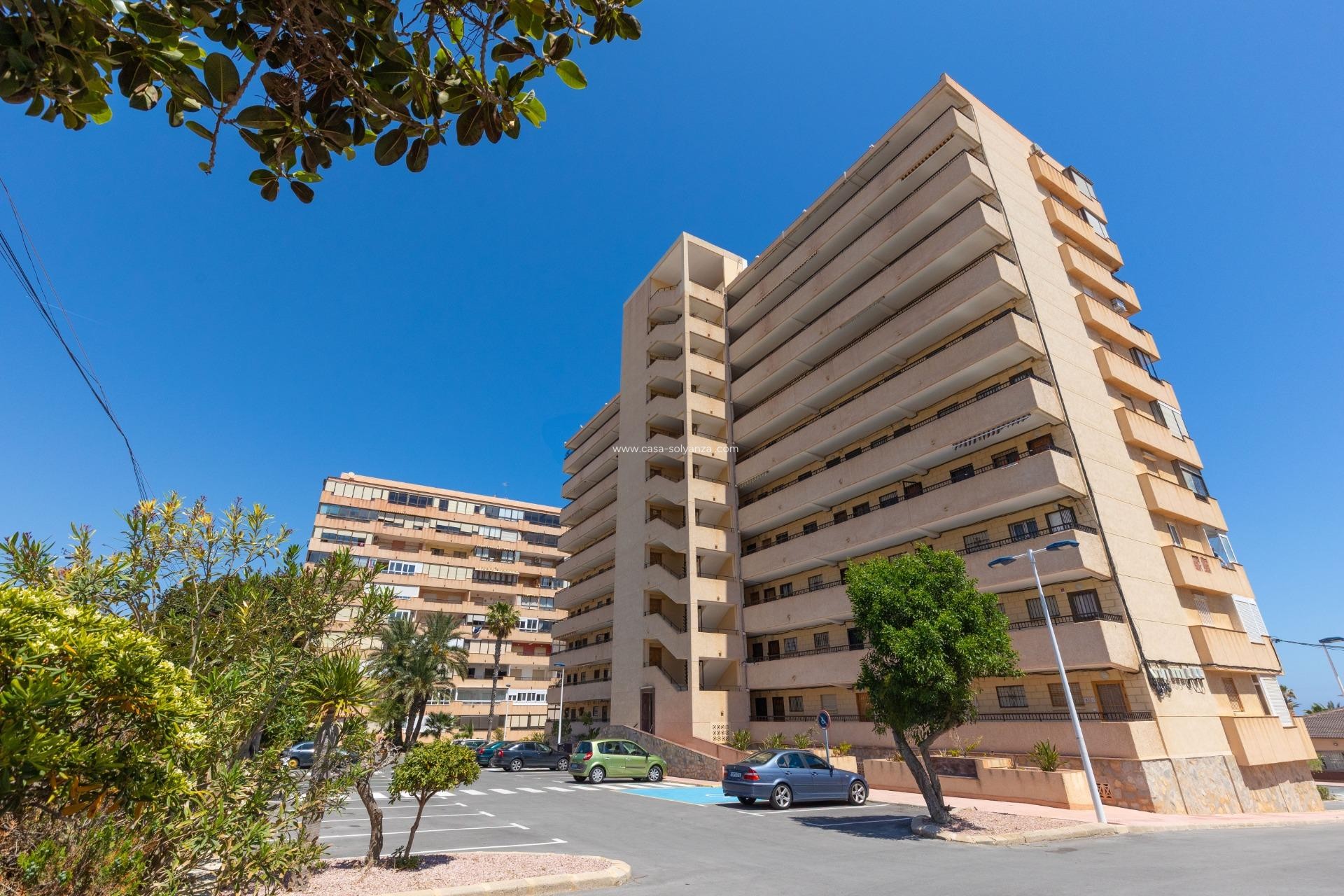 Reventa - Apartamento / piso - Torrevieja - Costa Blanca