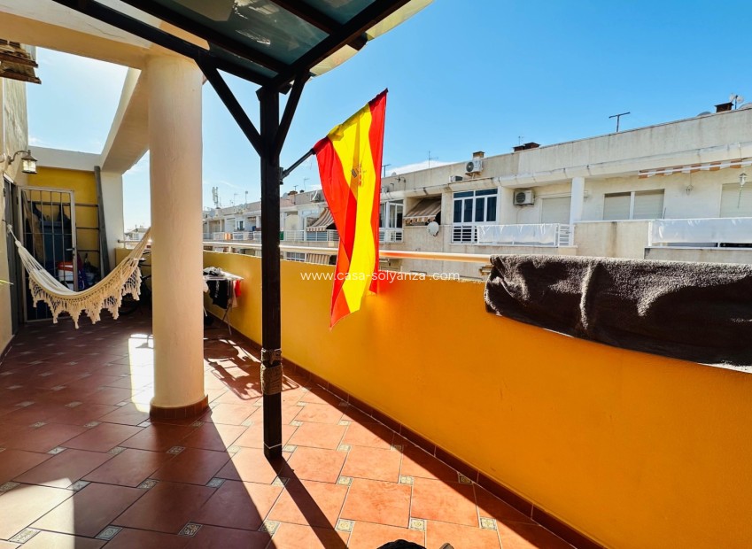 Reventa - Apartamento / piso - Torrevieja - Costa Blanca