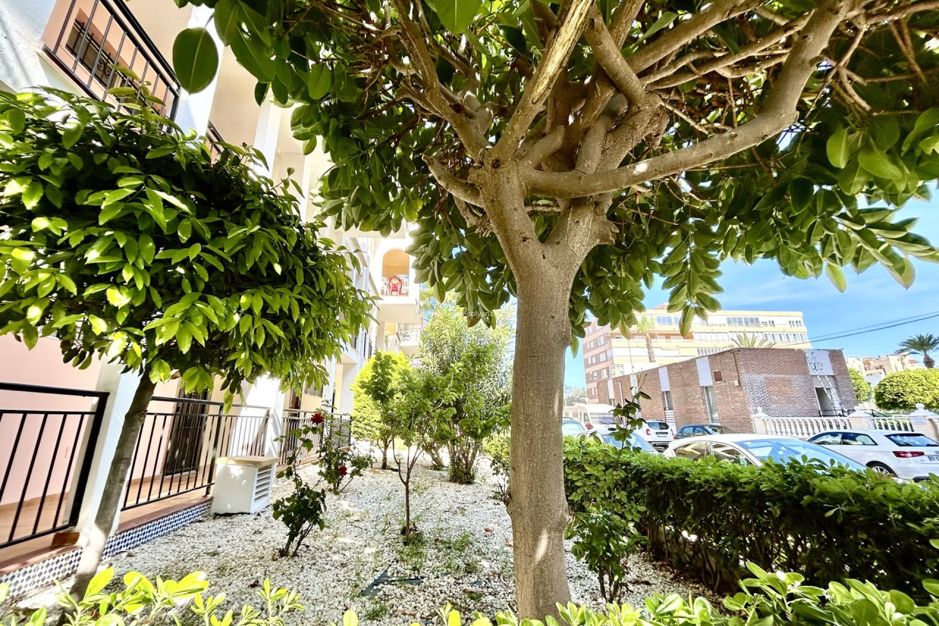 Reventa - Apartamento / piso - Torrevieja - Costa Blanca