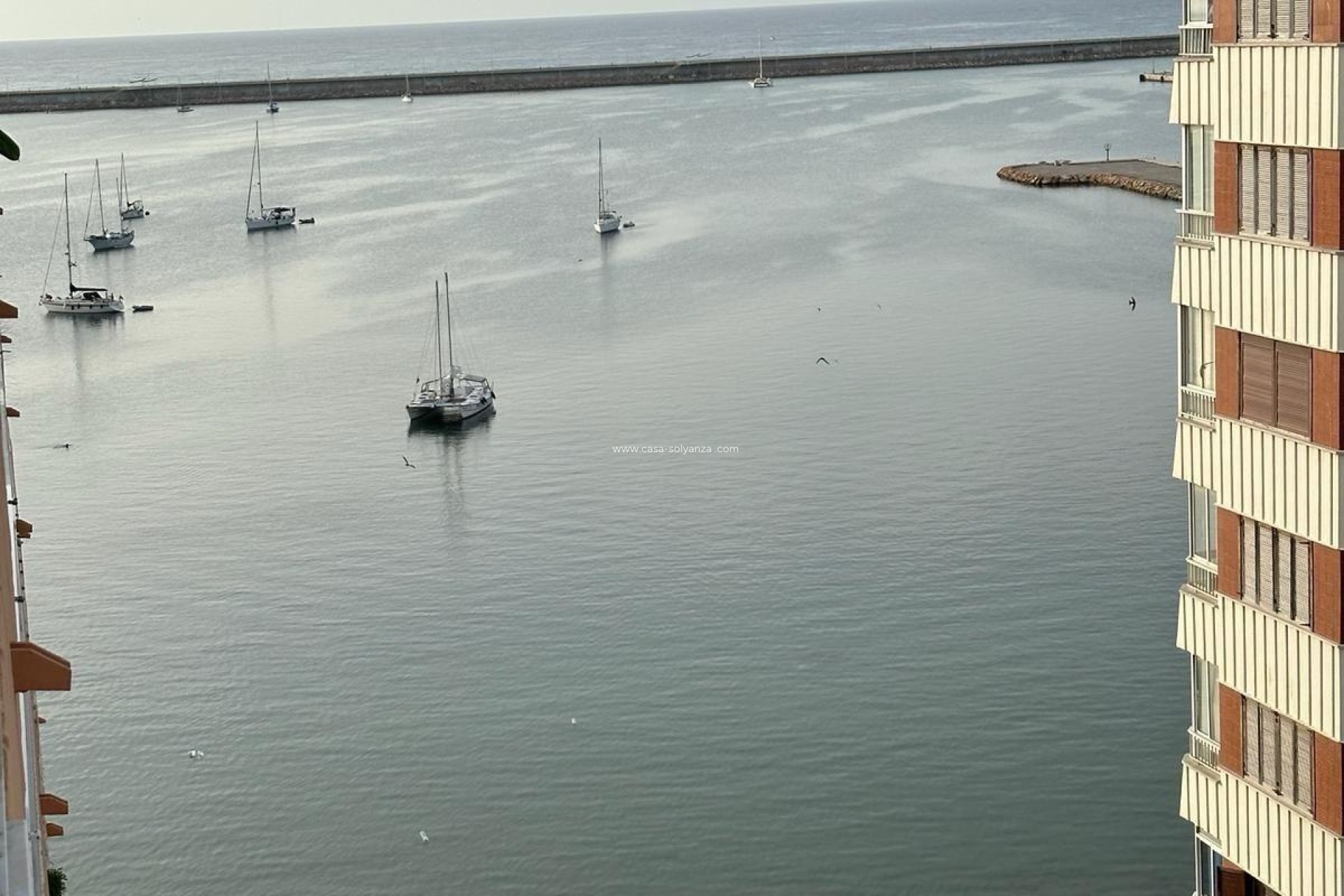 Reventa - Apartamento / piso - Torrevieja - El Acequión - Los Náufragos