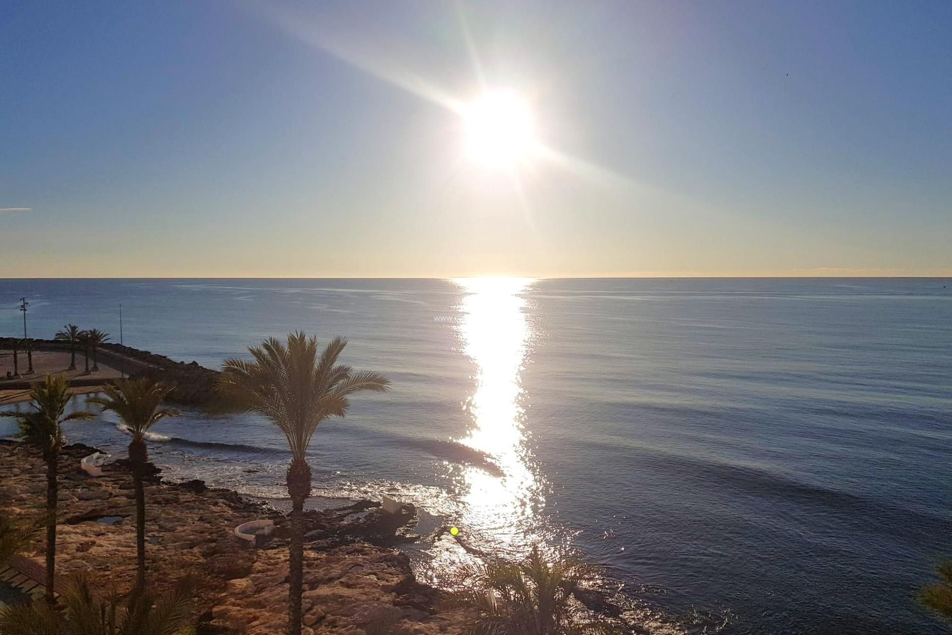 Reventa - Apartamento / piso - Torrevieja - Estacion Autobuses