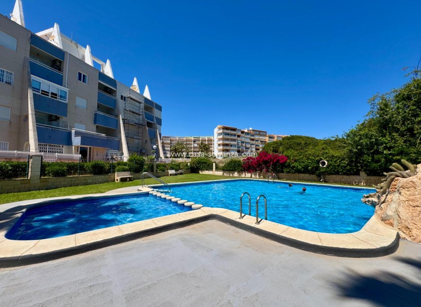 Reventa - Apartamento / piso - Torrevieja - Gaspar Perrelló