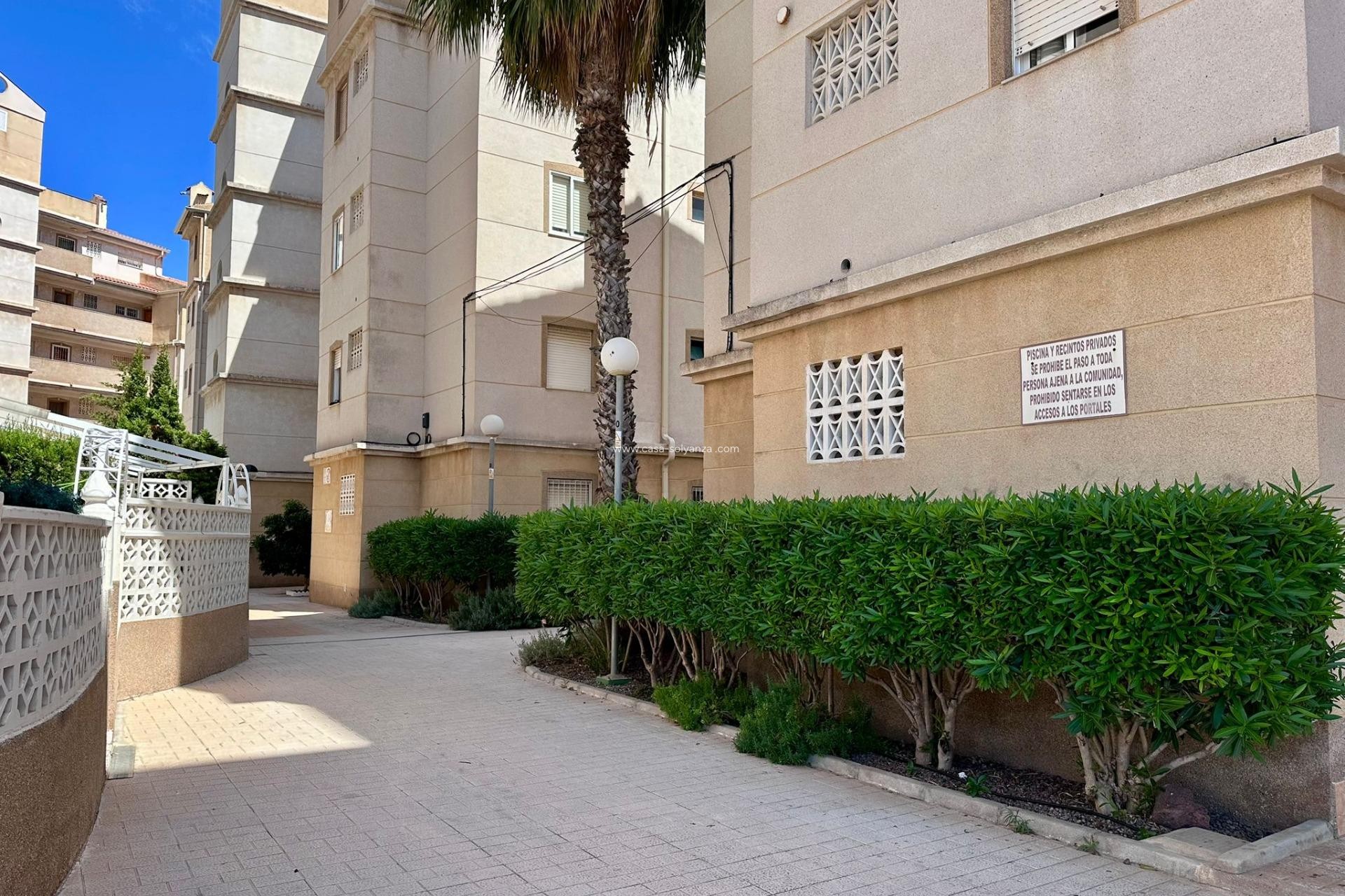 Reventa - Apartamento / piso - Torrevieja - Habaneras