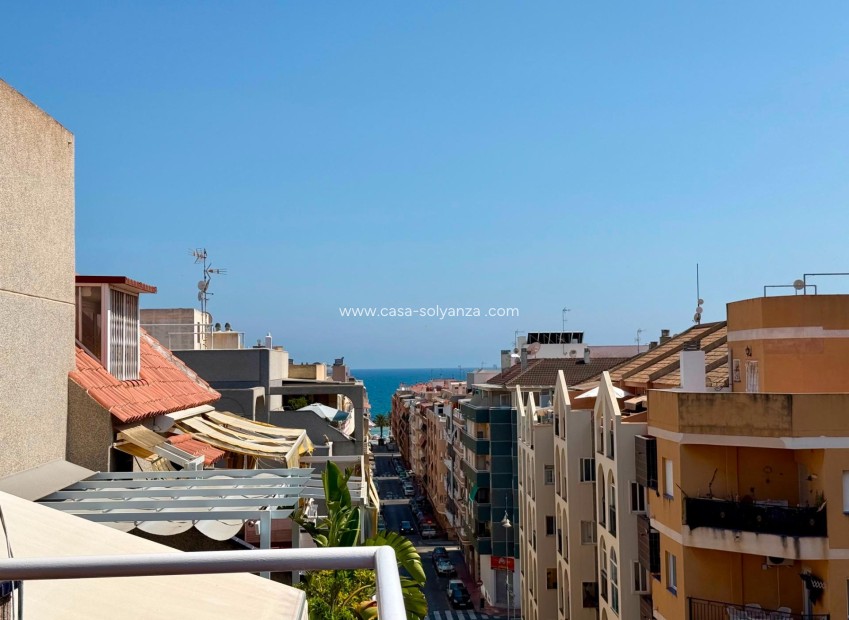 Reventa - Apartamento / piso - Torrevieja - Habaneras