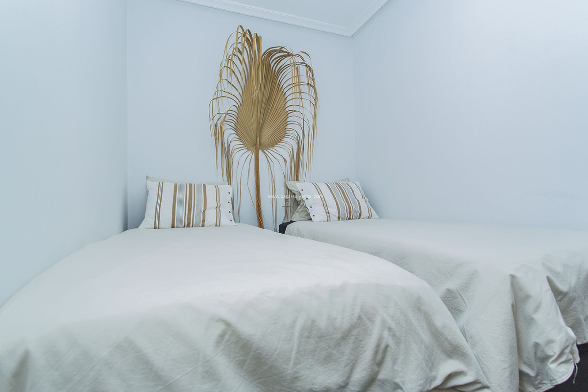 Reventa - Apartamento / piso - Torrevieja - La Mata