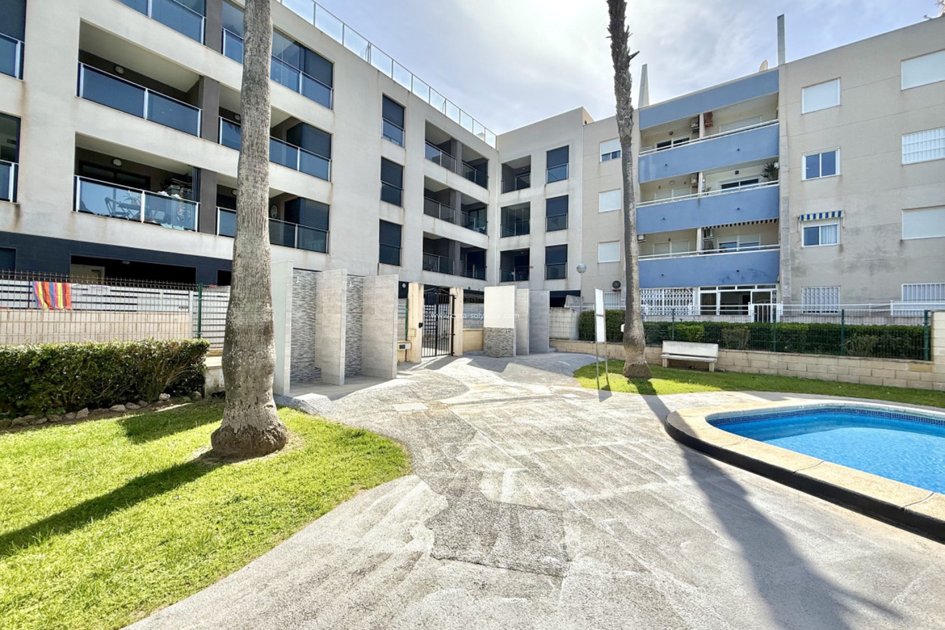 Reventa - Apartamento / piso - Torrevieja - La Mata