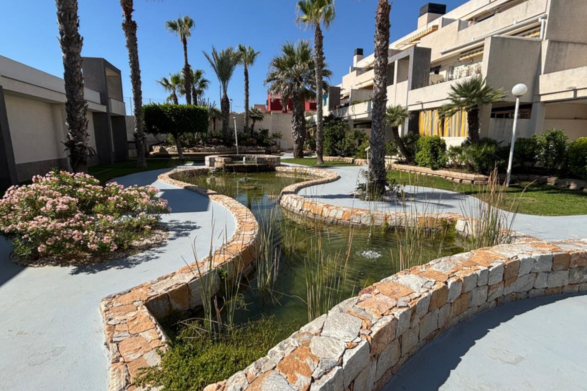 Reventa - Apartamento / piso - Torrevieja - La Mata