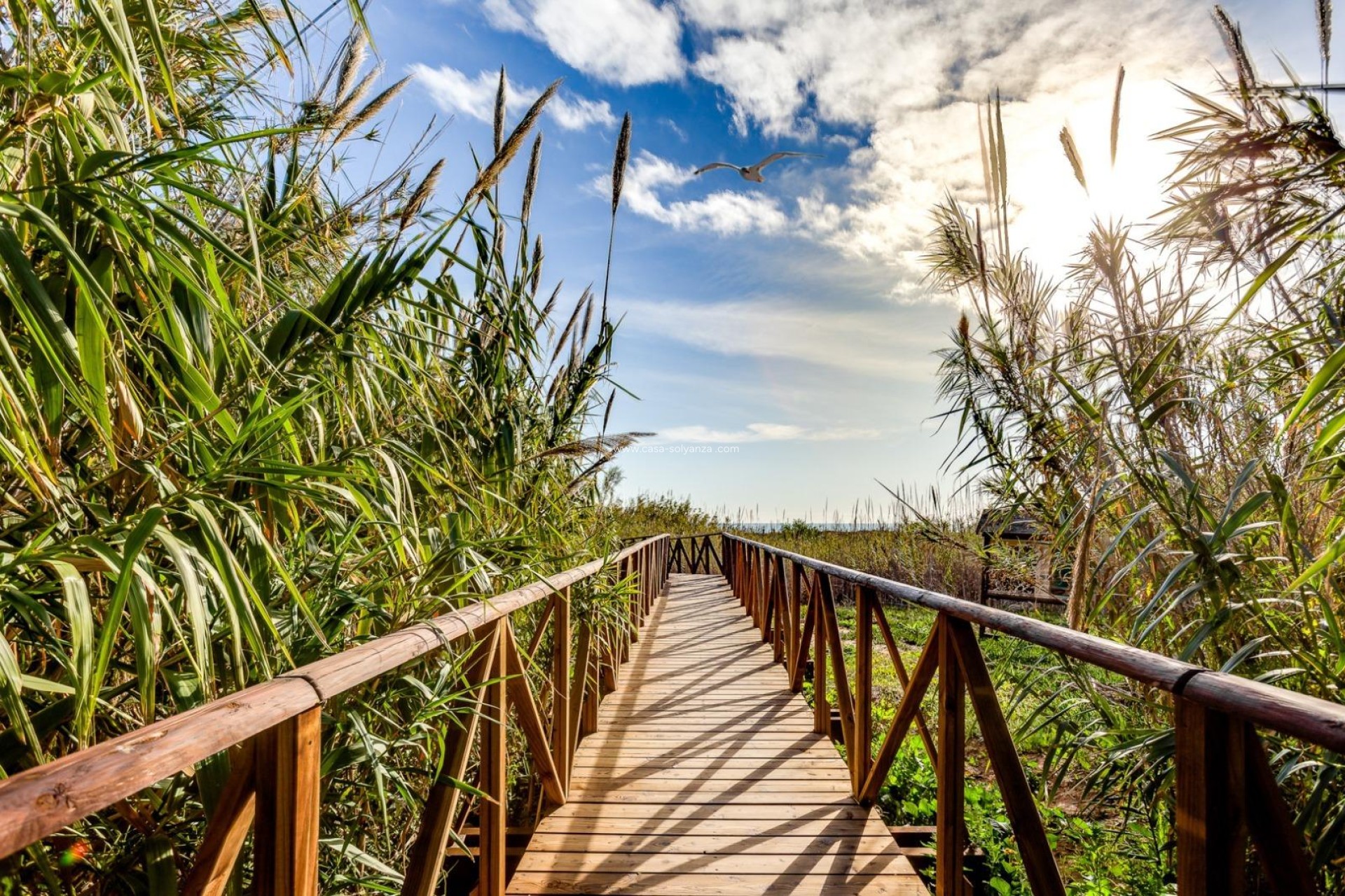 Reventa - Apartamento / piso - Torrevieja - La Mata