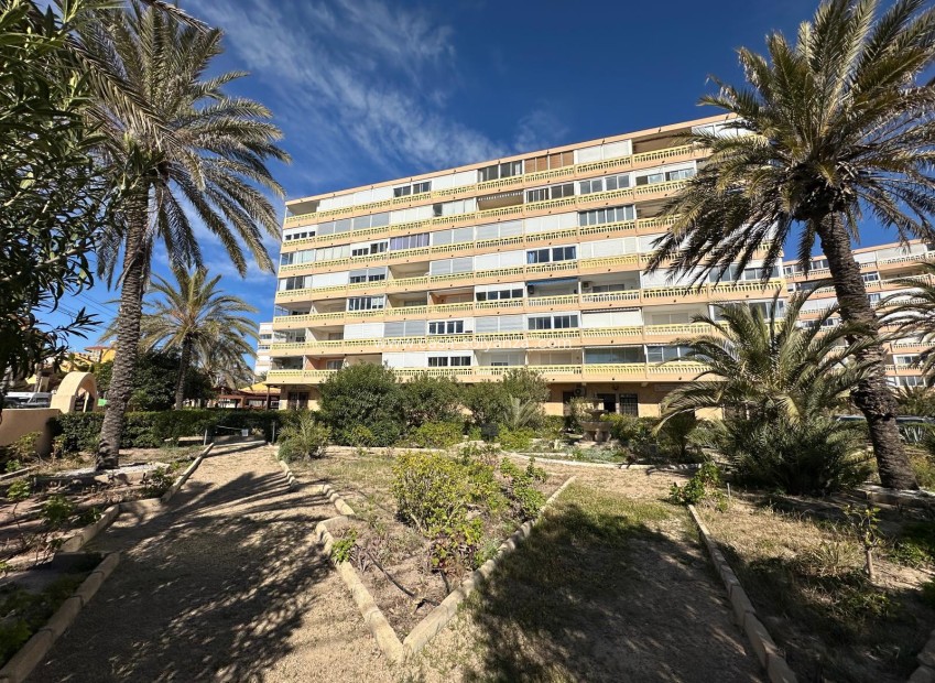 Reventa - Apartamento / piso - Torrevieja - La Mata