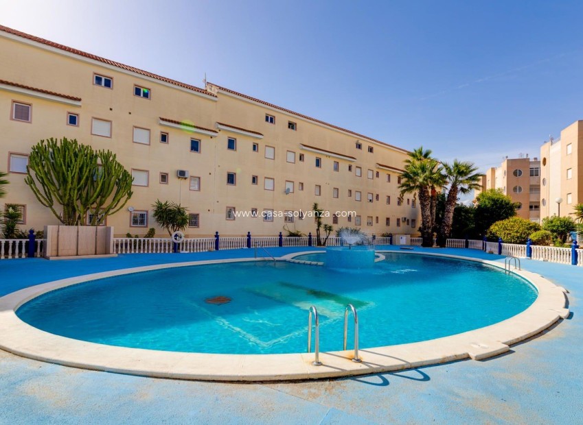 Reventa - Apartamento / piso - Torrevieja - La Siesta