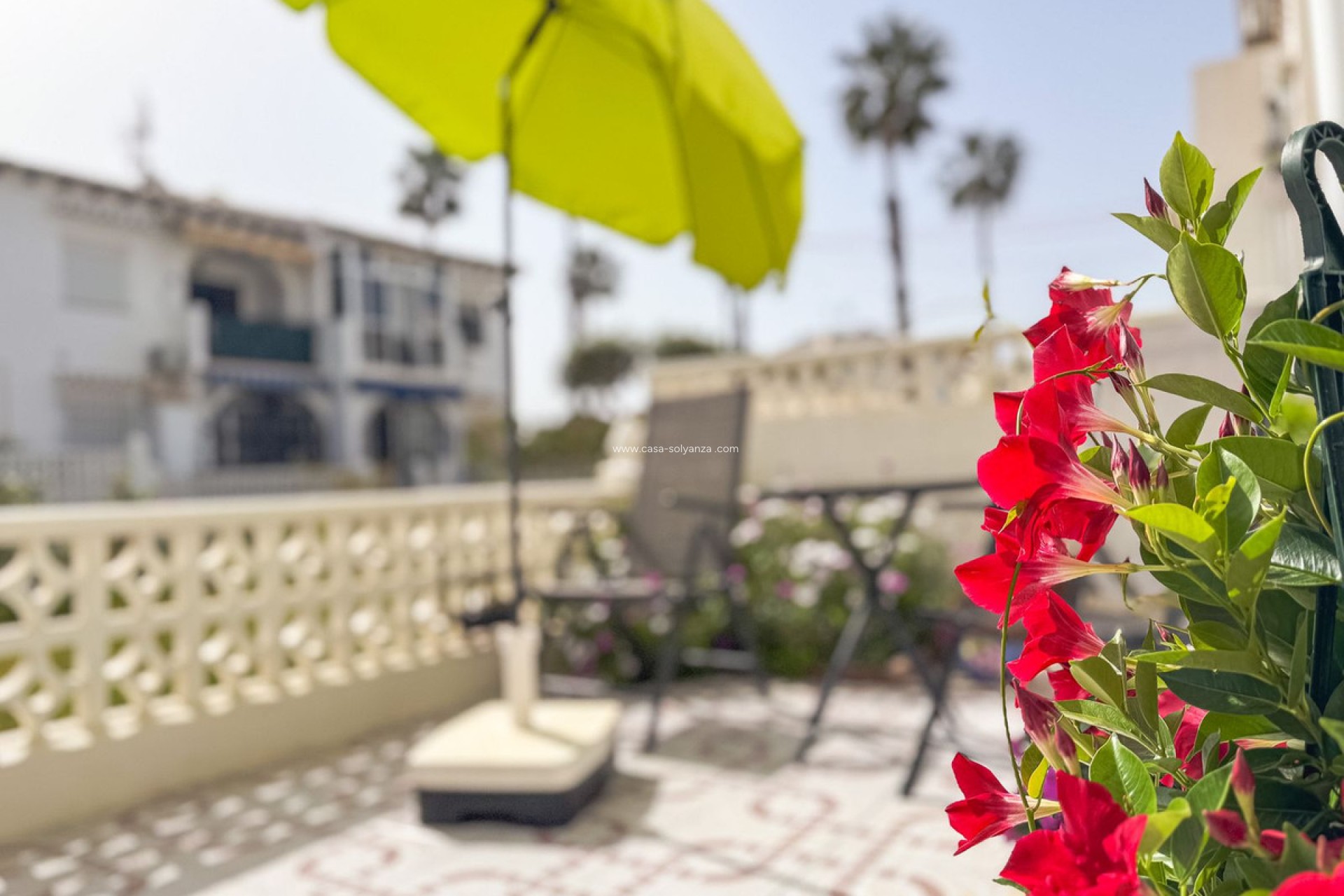 Reventa - Apartamento / piso - Torrevieja - Lago jardin