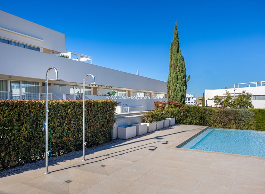 Reventa - Apartamento / piso - Torrevieja - Los Balcones