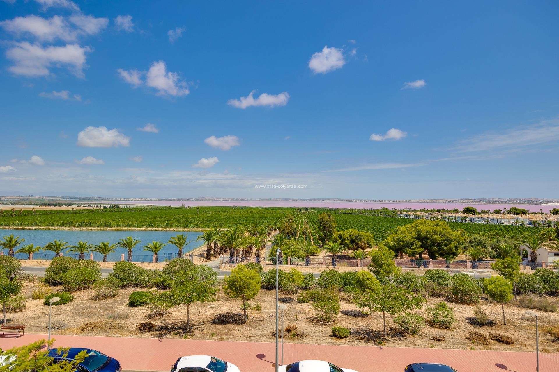 Reventa - Apartamento / piso - Torrevieja - Los Balcones