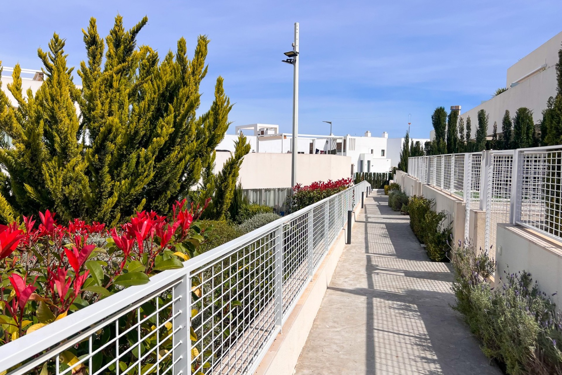 Reventa - Apartamento / piso - Torrevieja - Los Balcones