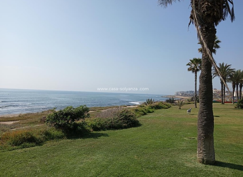 Reventa - Apartamento / piso - Torrevieja - MAR AZUL LA VELETA