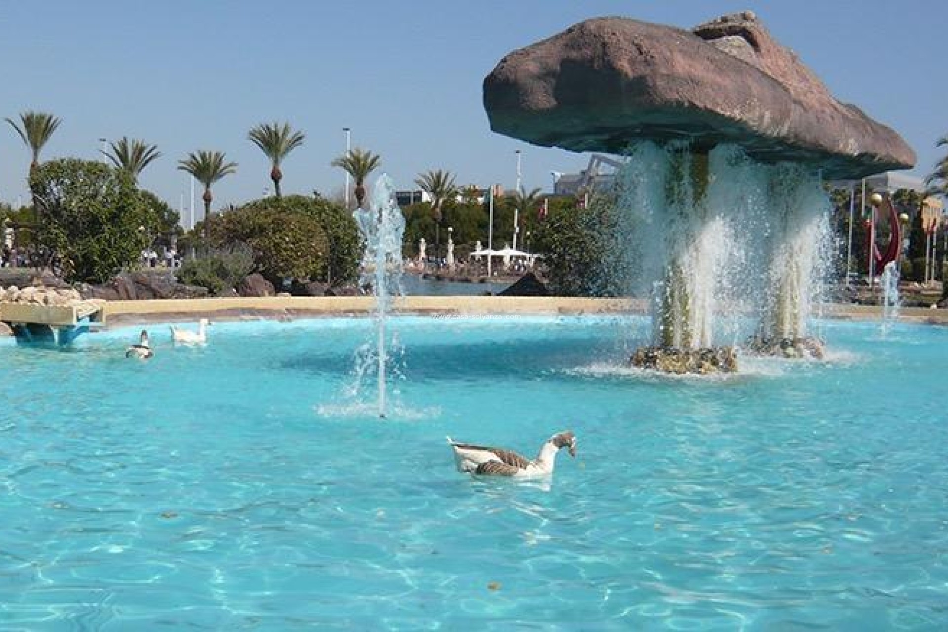 Reventa - Apartamento / piso - Torrevieja - Parque Las Naciones