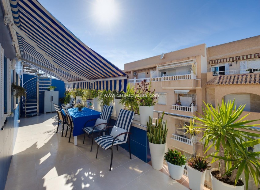 Reventa - Apartamento / piso - Torrevieja - Playa de los Locos
