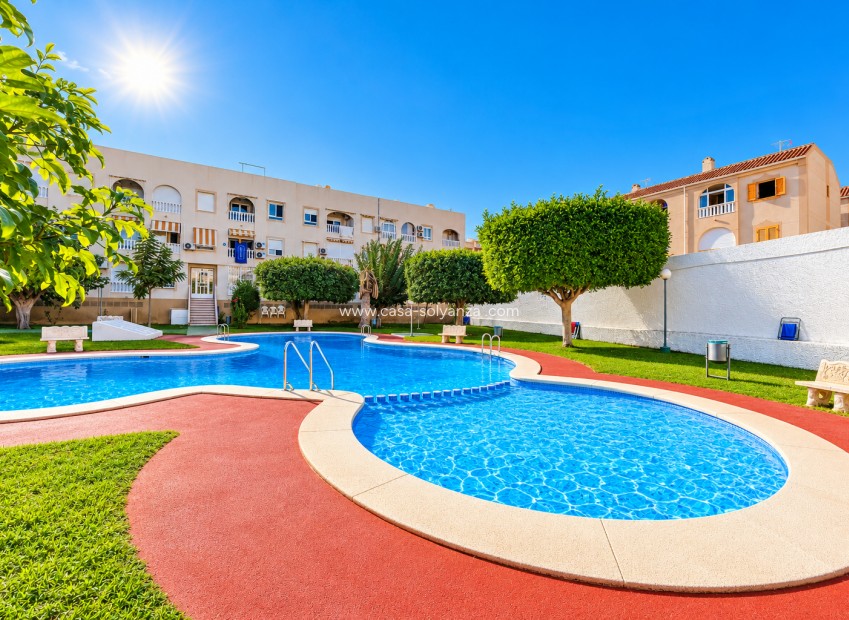 Reventa - Apartamento / piso - Torrevieja - Playa del Acequión