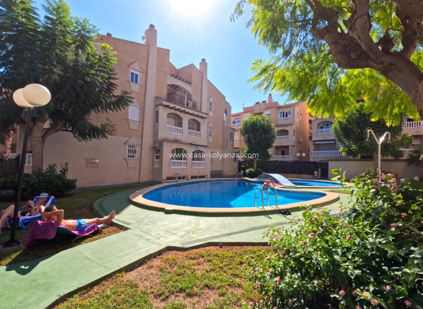 Reventa - Apartamento / piso - Torrevieja - Playa del Cura