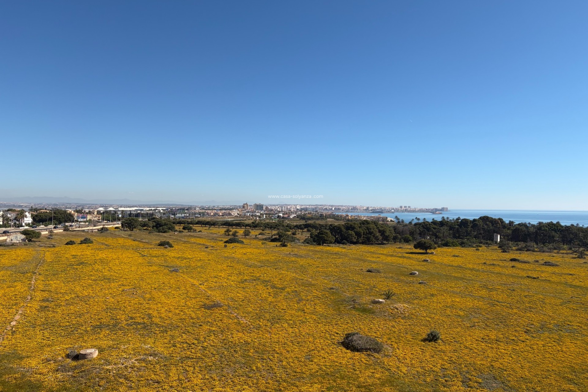 Reventa - Apartamento / piso - Torrevieja - Punta Prima