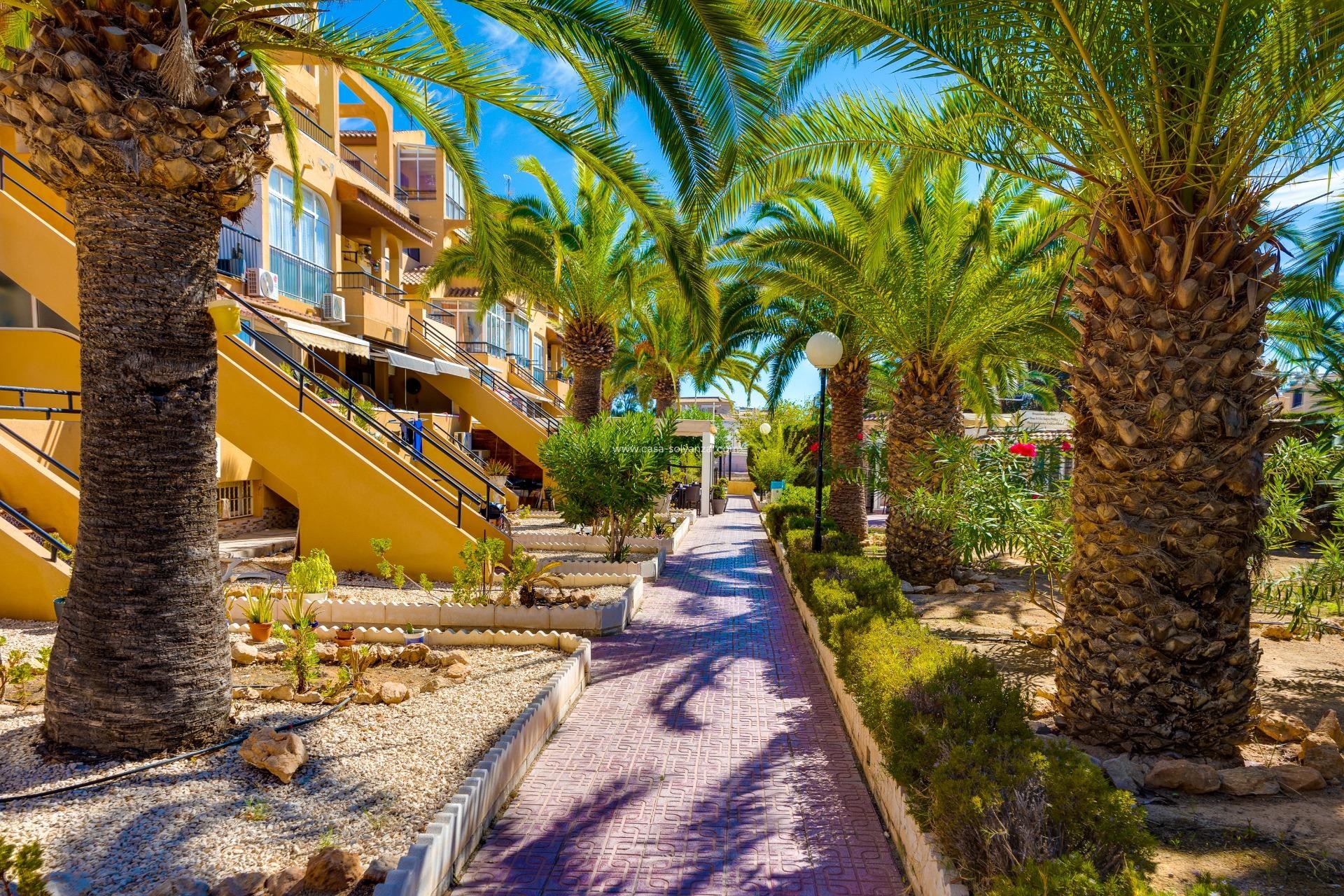 Reventa - Apartamento / piso - Torrevieja - Torreblanca