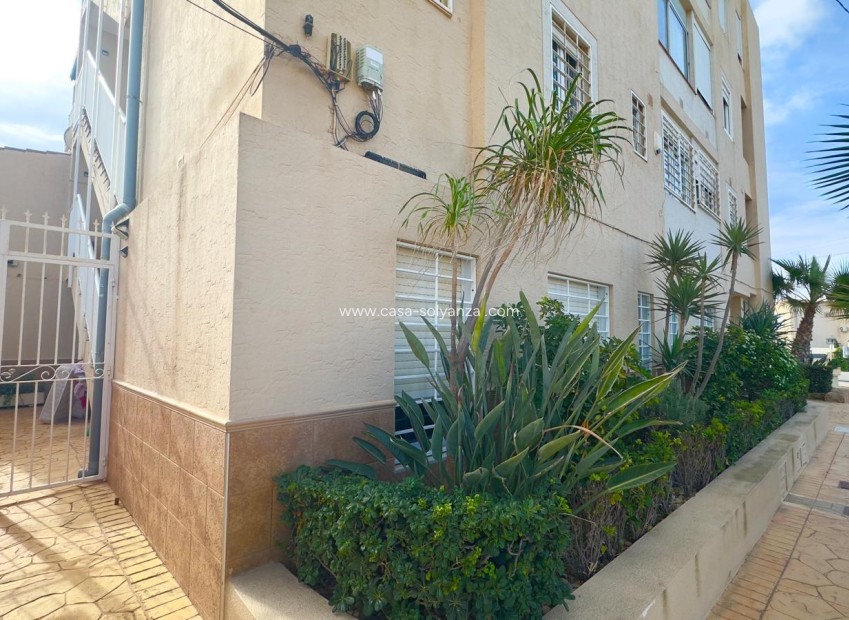 Reventa - Apartamento / piso - Torrevieja - Zona Los Frutales