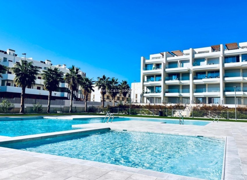 Reventa - Apartamento / piso - Villamartin - Costa Blanca
