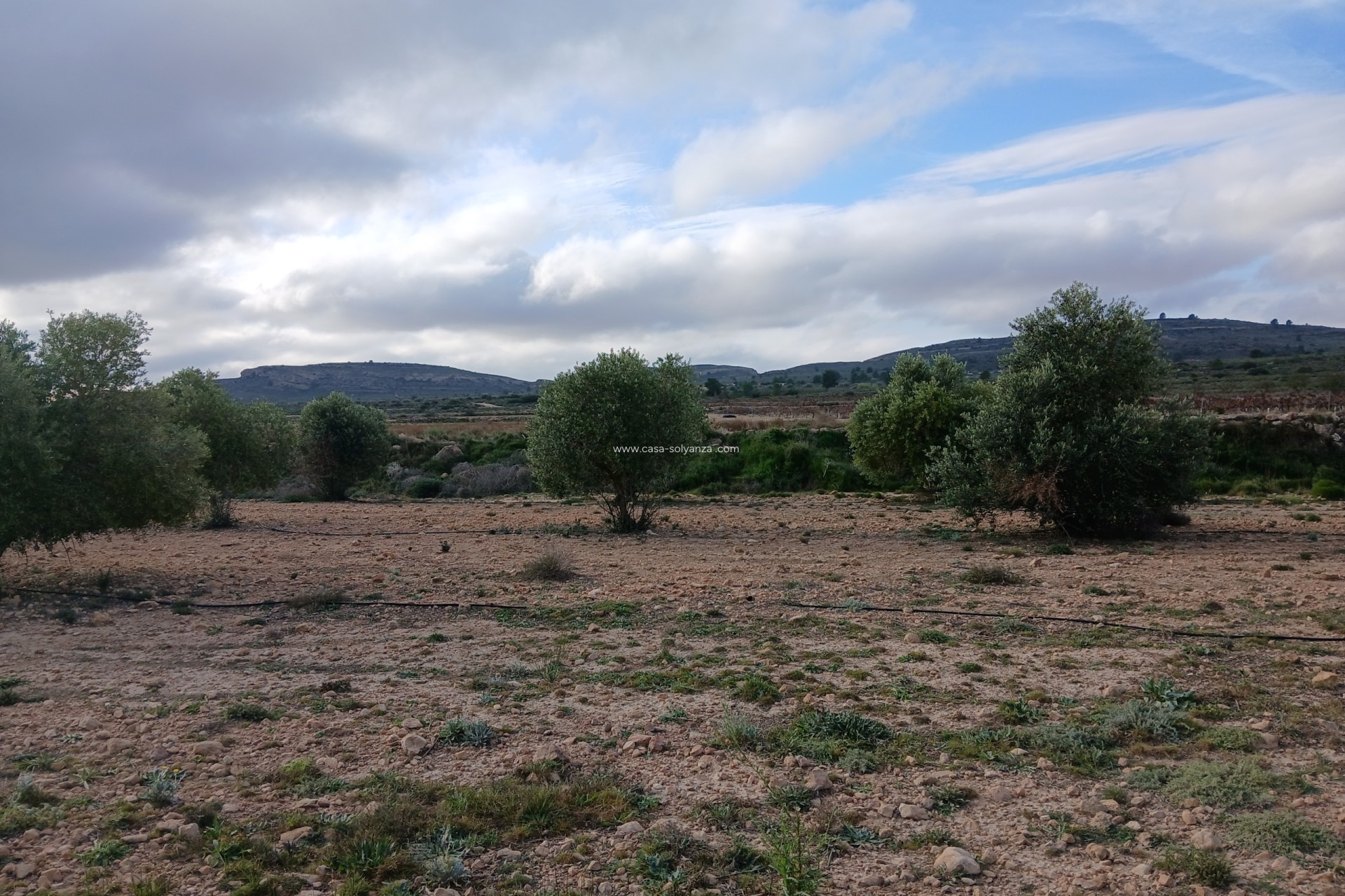 Reventa - Apartamento / piso - Yecla