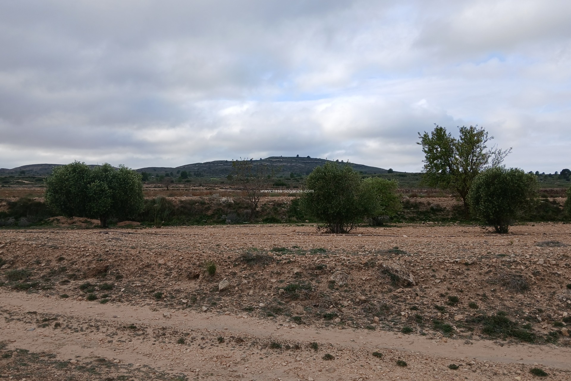Reventa - Apartamento / piso - Yecla