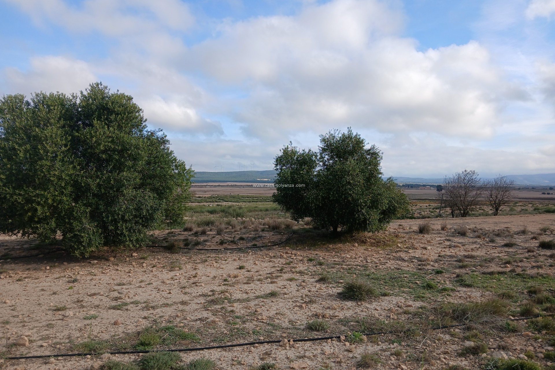 Reventa - Apartamento / piso - Yecla