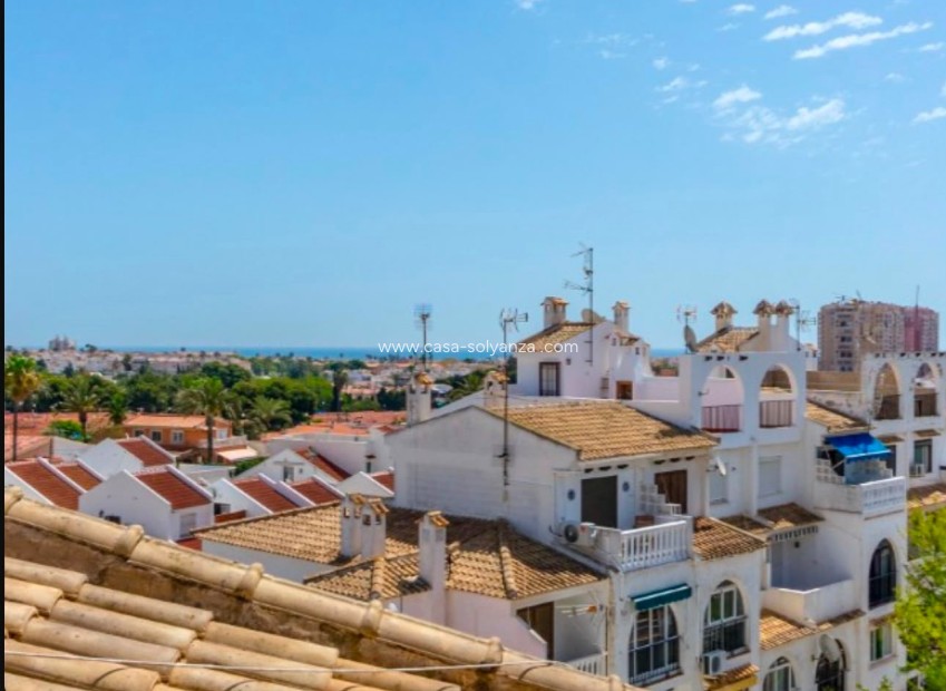 Reventa - Apartment - Penthouse - Torrevieja - Calas Blanca