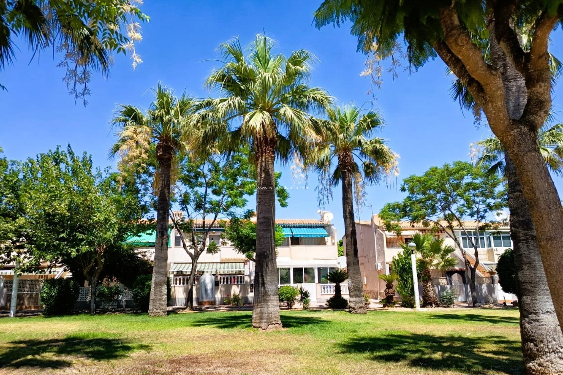 Reventa - Bungalow - Orihuela Costa - Costa Blanca