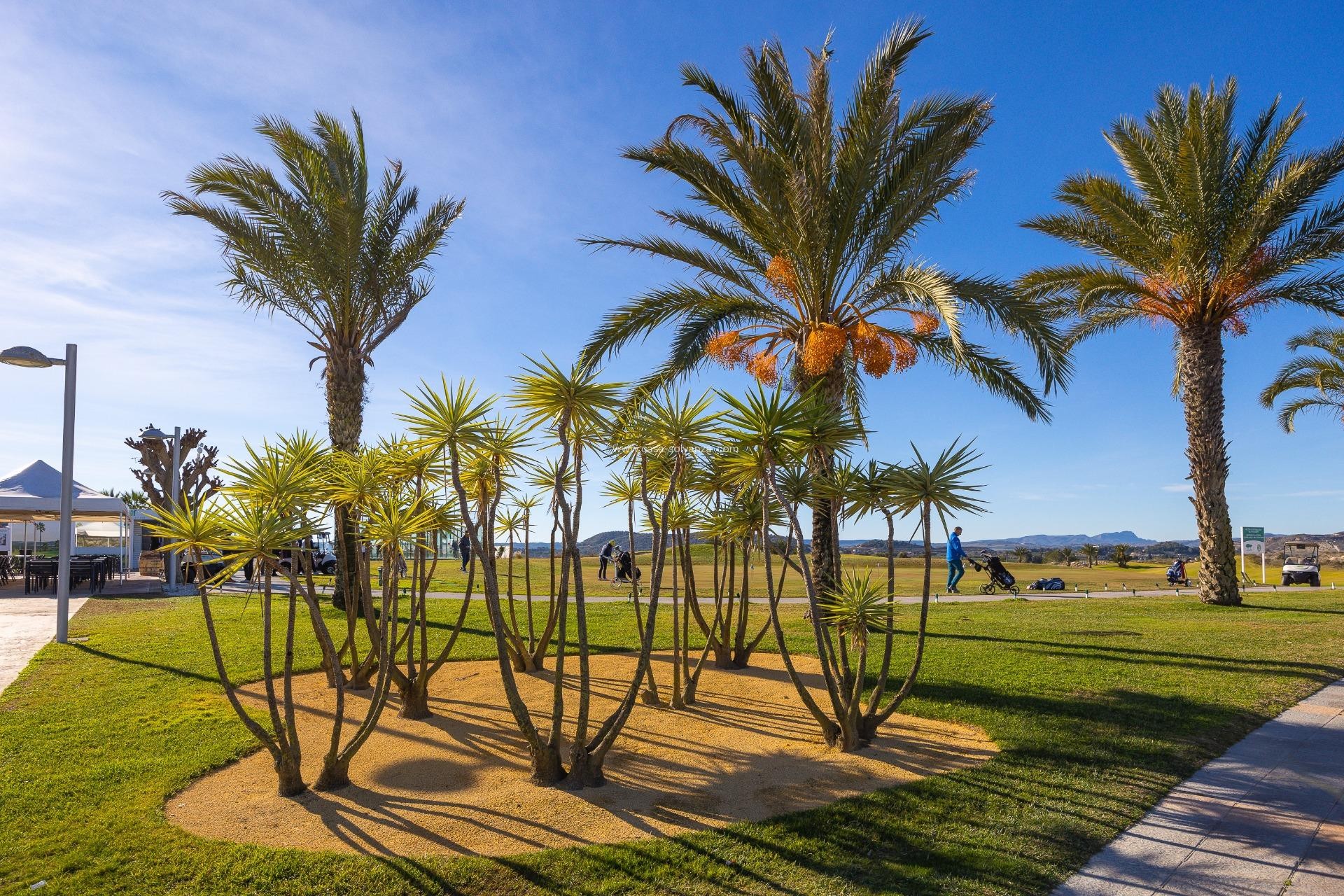 Reventa - Bungalow - Orihuela - Desamparados