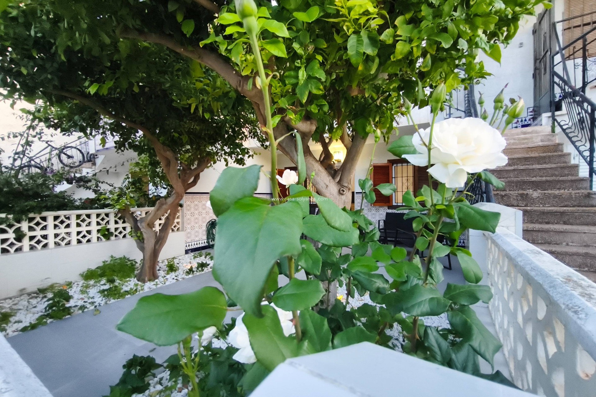 Reventa - Bungalow - San Pedro del Pinatar - Lo pagan