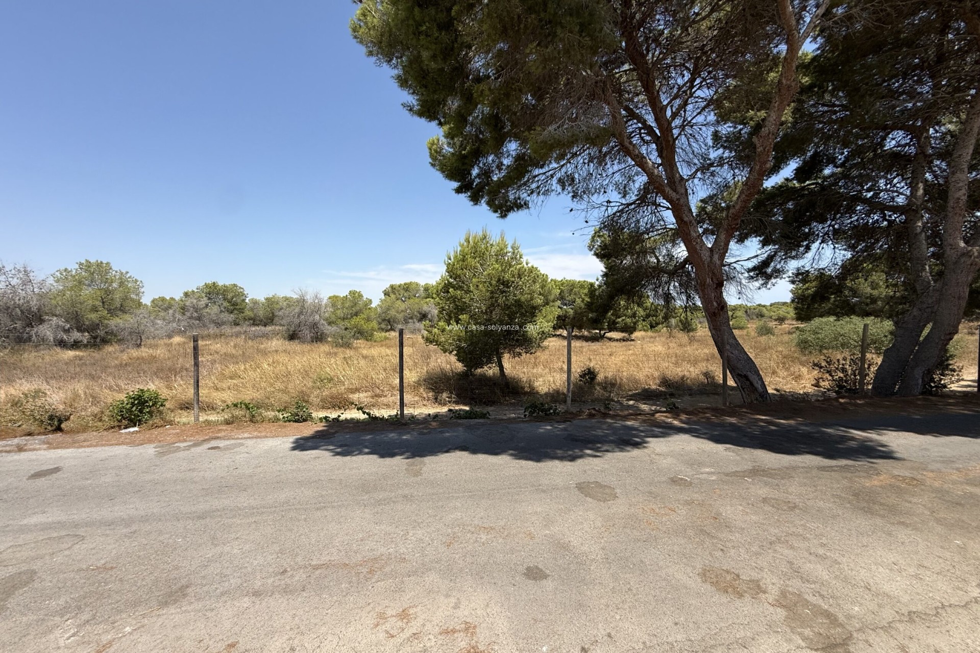 Reventa - Bungalow - Torrevieja - 0