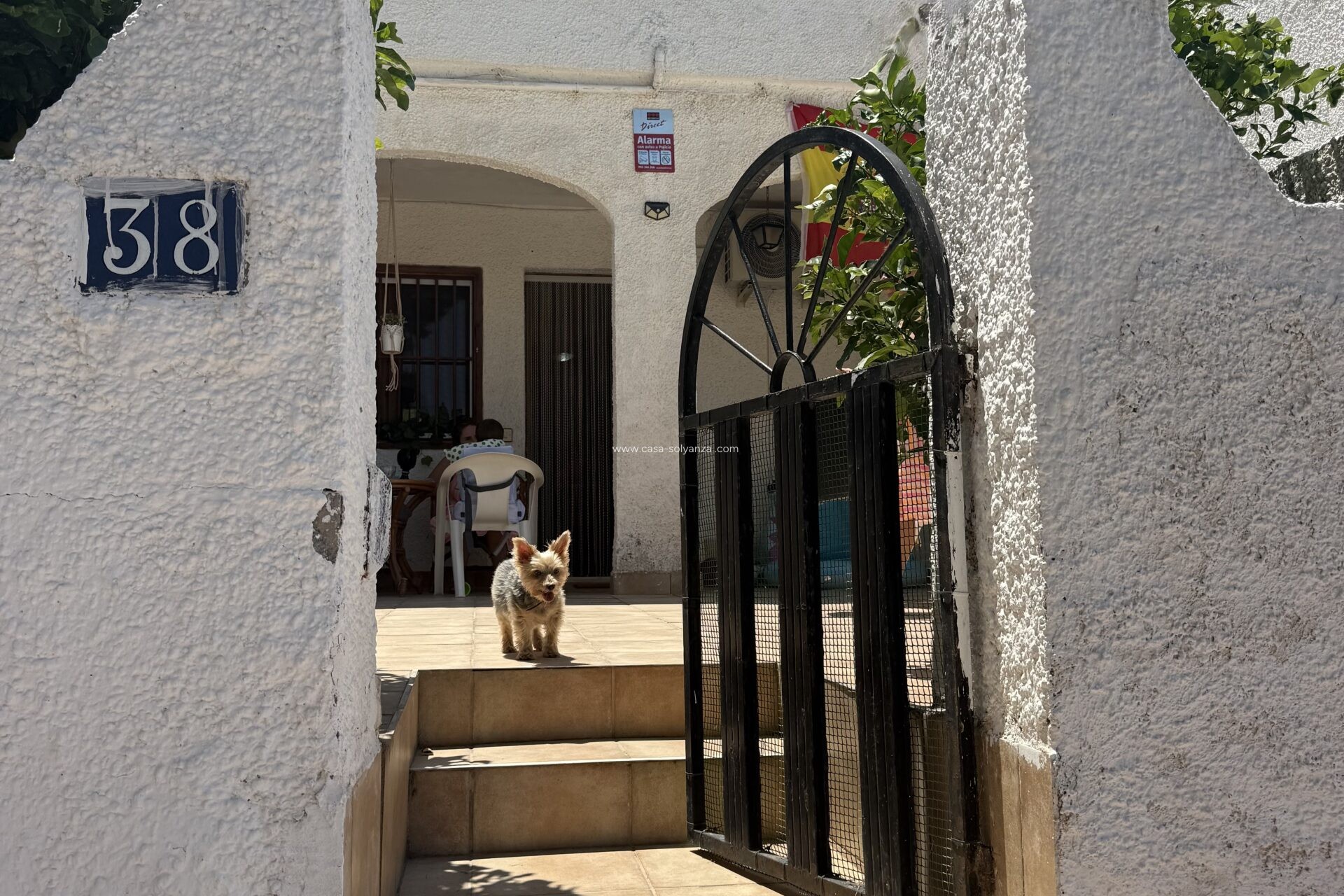 Reventa - Bungalow - Torrevieja - 0